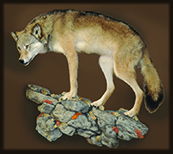 wolf mount